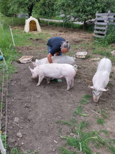 csm_3266cefa-25bd-4d52-b855-24811ca7f15e_c2cf268c1a