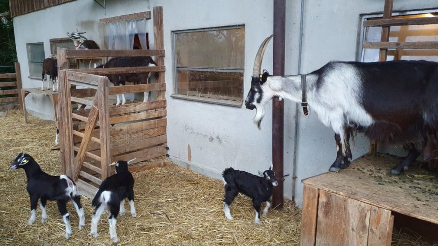 csm_6423bf78-e54b-49b2-93f2-2d46e8b75a75_0c9e62c74f