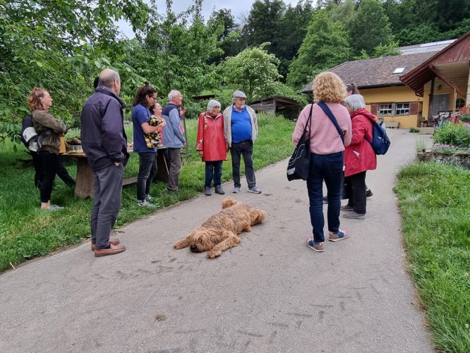 csm_6a01282c-1458-4baf-8c7c-399cf97611ea_aa08aacbea