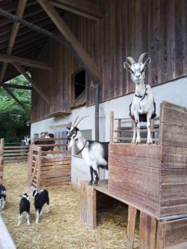 csm_8b21afe3-b063-43ef-89fa-e2e2e10c3781_6e26ba9b83