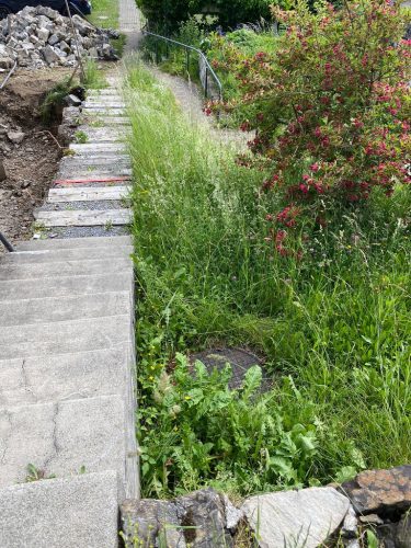 csm_abe71025-b77d-4a9e-aa98-61cdee5e5c10_092d517c4d